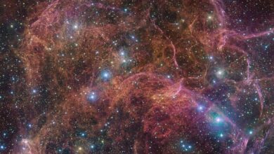 This image shows a spectacular view of the orange and pink clouds that make up what remains after the explosive death of a massive star — the Vela supernova remnant