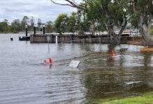 River levels rise over a park in Swan Reach with a sign and park bench now under water
