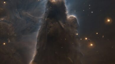 صورة مؤلمة للسديم المخروطي ، وهي منطقة تشكل النجوم على بعد 2500 سنة ضوئية من الأرض ، تجعلها تبدو وكأنها مخلوق أسطوري