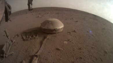 This image released by NASA on Monday, Dec. 19, 2022, shows NASA...s InSight lander on Mars. The lander...s power levels have been dwindling for months because of all the dust coating its solar panels. While ground controllers at California's Jet Propulsion Laboratory knew the end was near, they did not expect InSight to fall silent over the weekend. (NASA via AP)