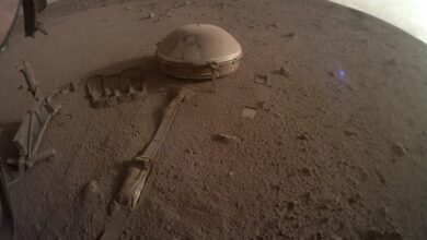 شاركت ناسا صورة من إنسايت يوم الثلاثاء (في الصورة) ، قائلة إن هذه قد تكون آخر صورة من مركبة الهبوط على المريخ لأن بطارياتها لم تكن تشحن