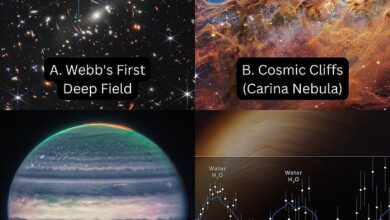 تتضمن المجموعة الأولى من الصور في تحدي ناسا (A) Webb's First Deep Field؛  (ب) المنحدرات الكونية في سديم كارينا.  (ج) كوكب المشتري ؛  و (د) بيانات ويب تظهر وجود الماء في الغلاف الجوي لكوكب خارج المجموعة الشمسية WASP-96 ب