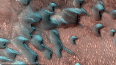 التقطت كاميرا HiRISE على متن Mars Reconnaissance Orbiter التابع لناسا هذه الصور للكثبان الرملية التي يغطيها الصقيع بعد الانقلاب الشتوي مباشرة.