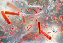 Red Bacteria Microbes